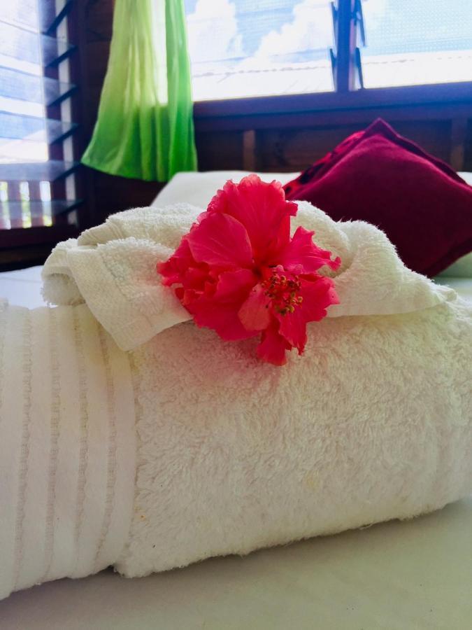Bed and Breakfast Apaula Heights Lounge Apia Exterior foto