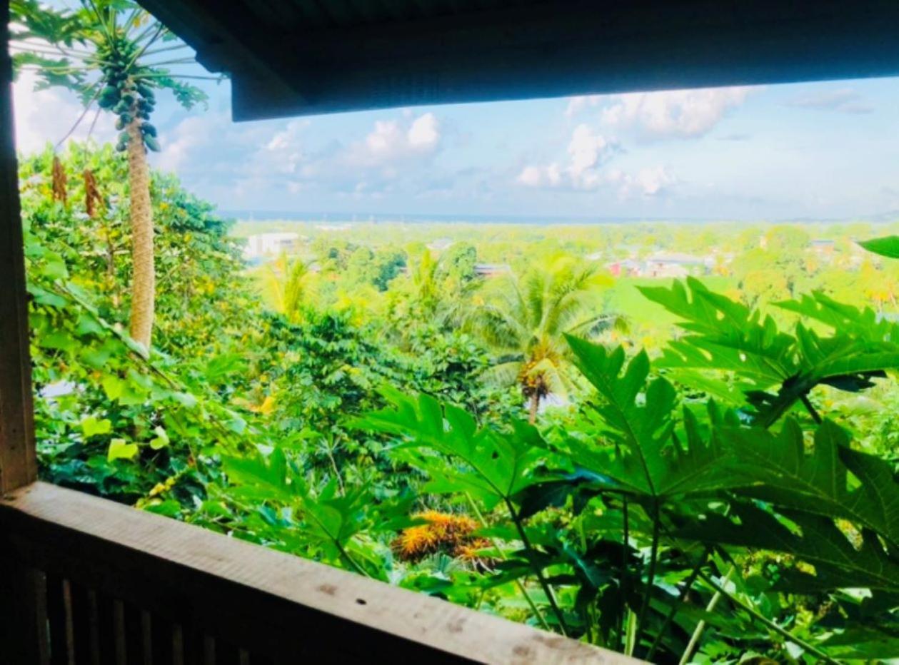 Bed and Breakfast Apaula Heights Lounge Apia Exterior foto