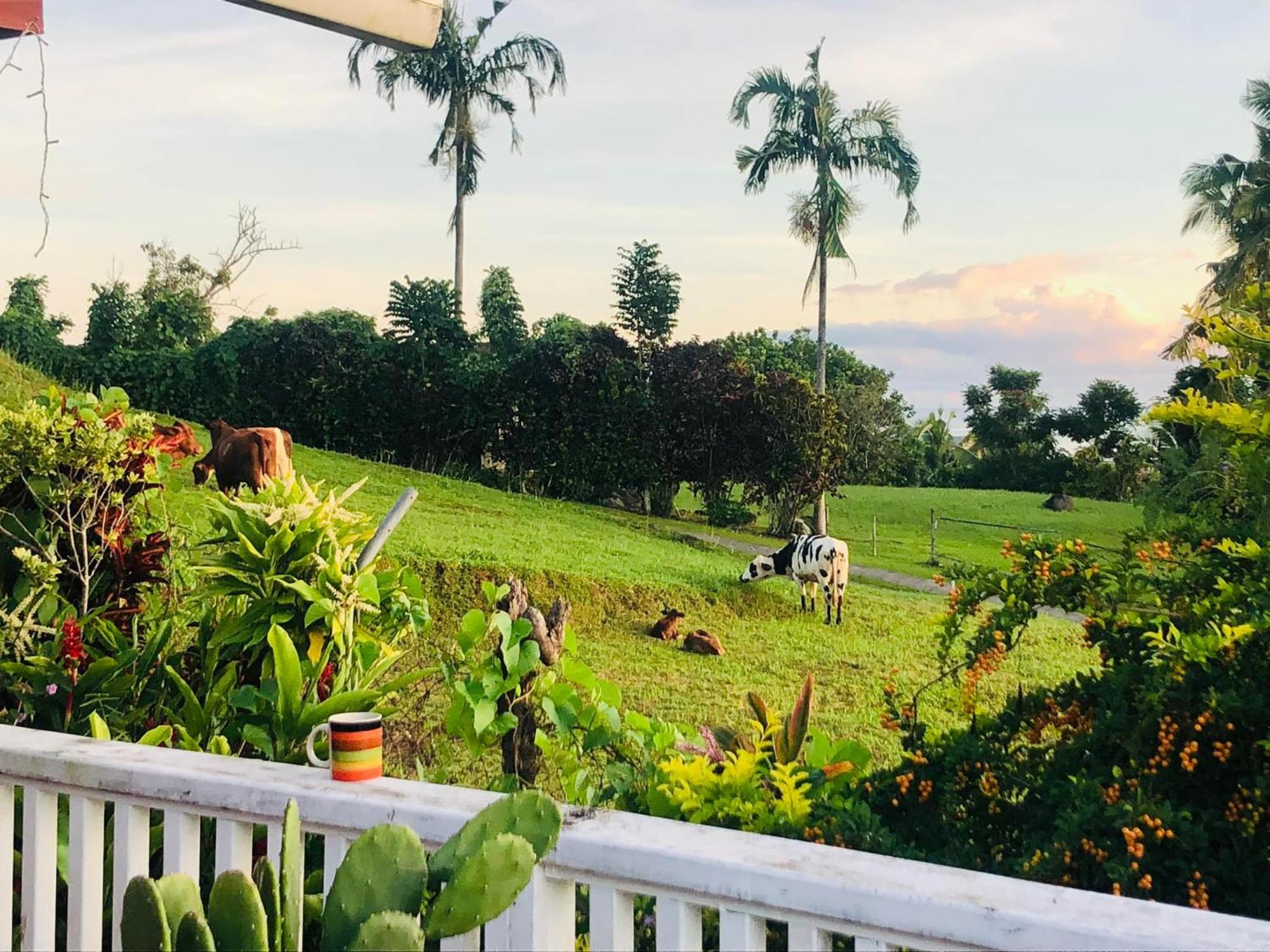 Bed and Breakfast Apaula Heights Lounge Apia Exterior foto